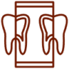 x-ray X-rays